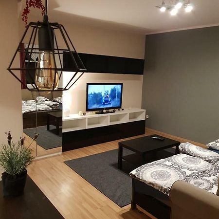 Apartamenty Hetmanska - 24H Shop Katowice Ngoại thất bức ảnh