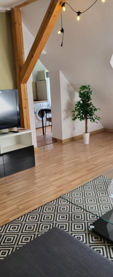Apartamenty Hetmanska - 24H Shop Katowice Ngoại thất bức ảnh